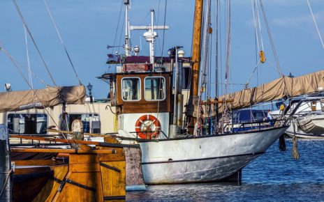 Canada Injects $62.5M To Stabilize Canadian Fish Industry