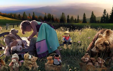How To Live Peacefully in 2020 With A Bear As Your Neighbour