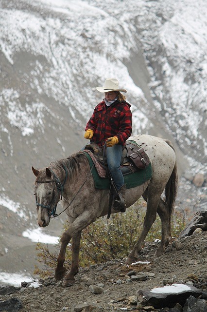 Bus, plane, horseback: A British travelers Epic Journey home