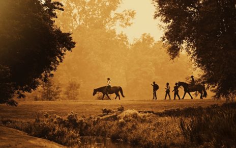 Bus, plane, horseback: A British travelers Epic Journey home