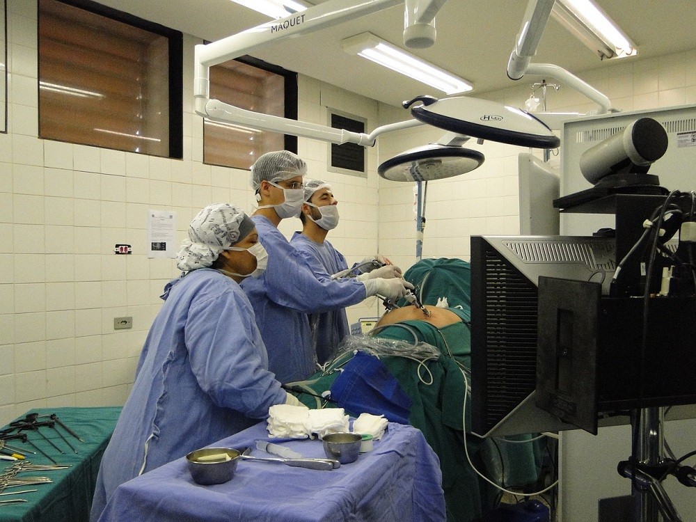 Spain has performed 274 organ transplants during COVID-19. 