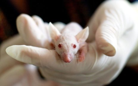 Scotland Injects £2m In Funding to boost science centres