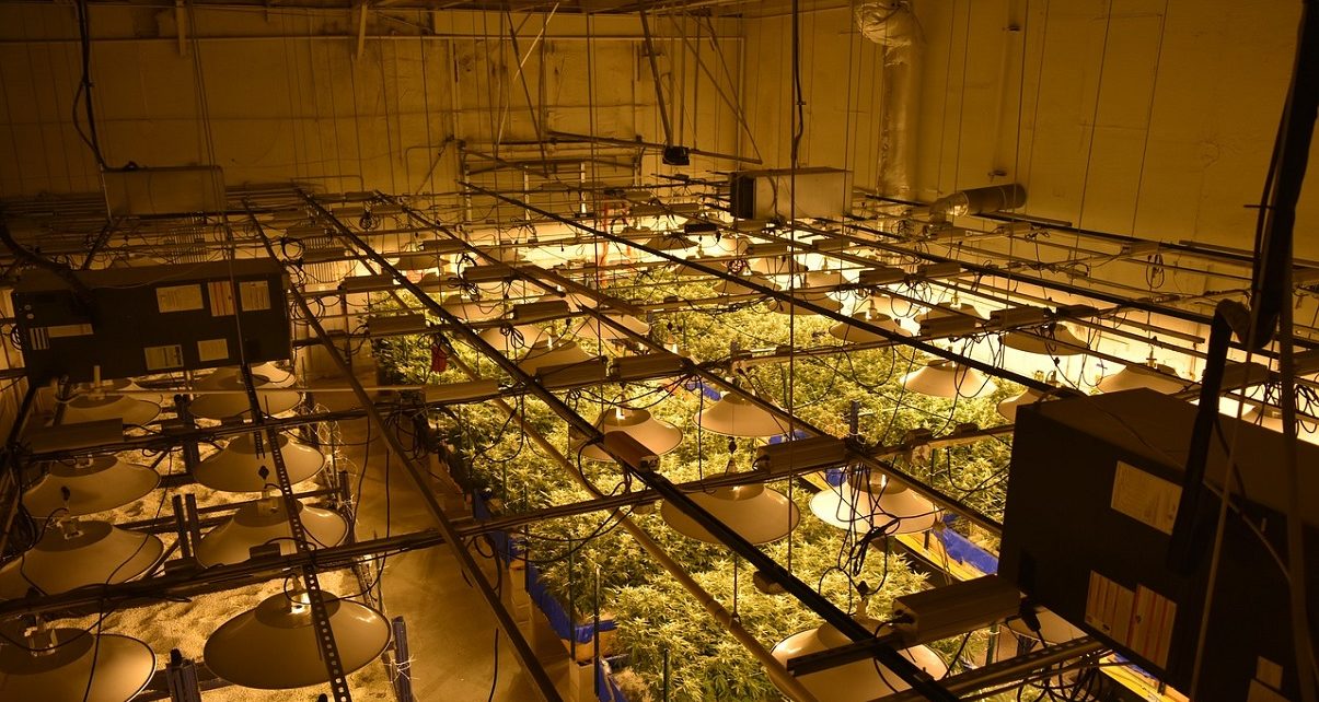 B.C just made it easier to by Weed online