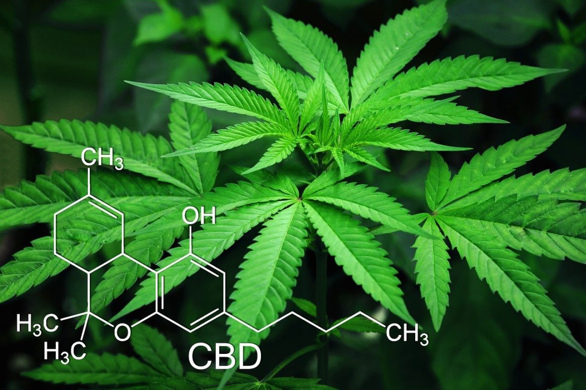 B.C just made it easier to by Weed online