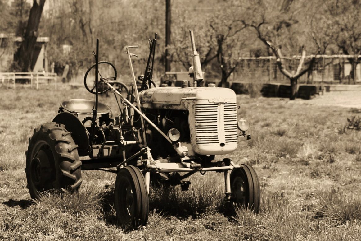 Alberni Valley family celebrates 100 years of farming