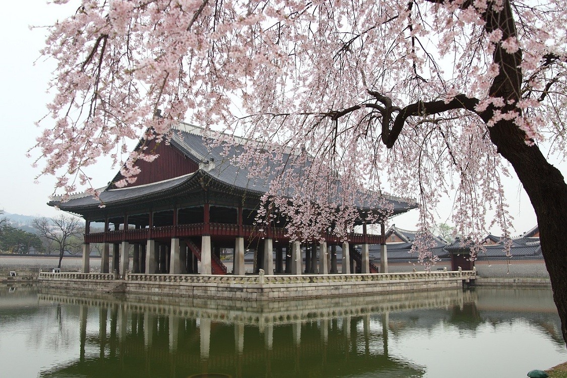 South Korea Celebrates 75th Year of Liberation