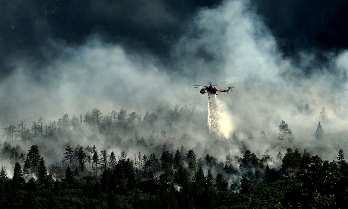 Over 11,000 hectares have burned in B.C. since April 1