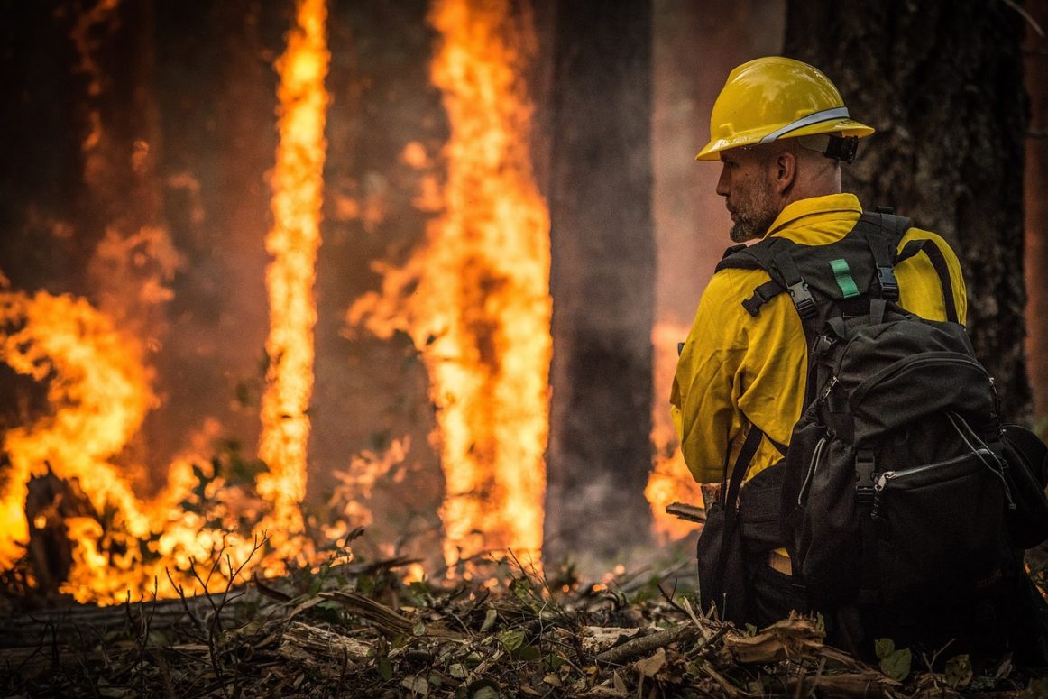 Over 11,000 hectares have burned in B.C. since April 1