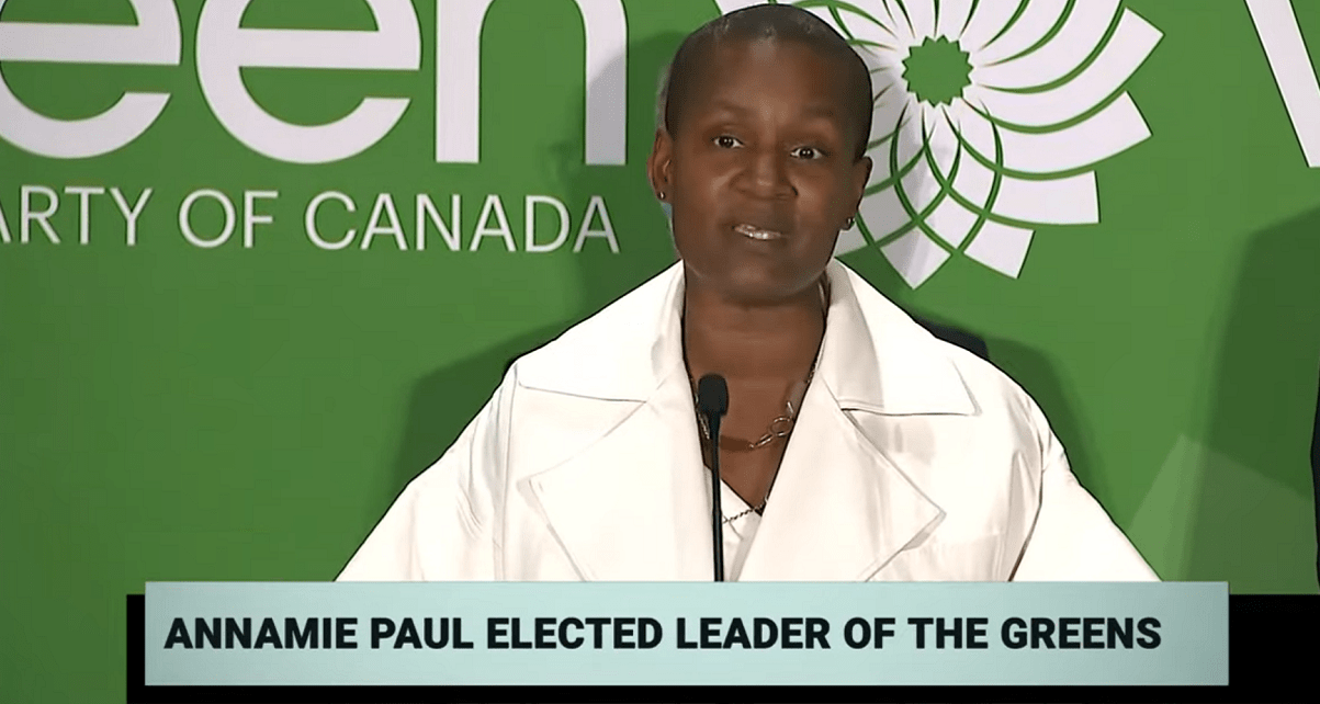 Annamie Paul poised to make waves on the national stage