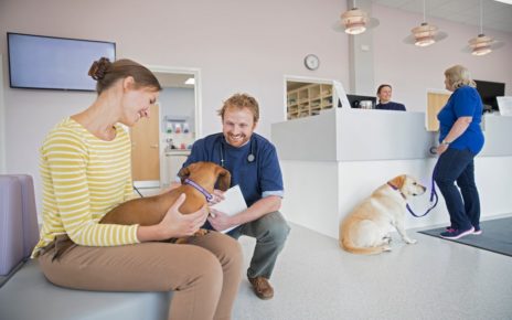 Visiting The Vet In COVID-19