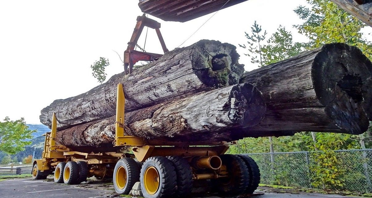 US Government Increases Tariffs On Canadian Softwood Lumber