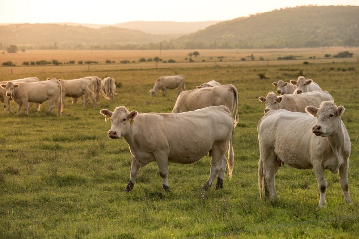 $7.5 million From Feds To Protect Quebec Farm Workers During COVID-19