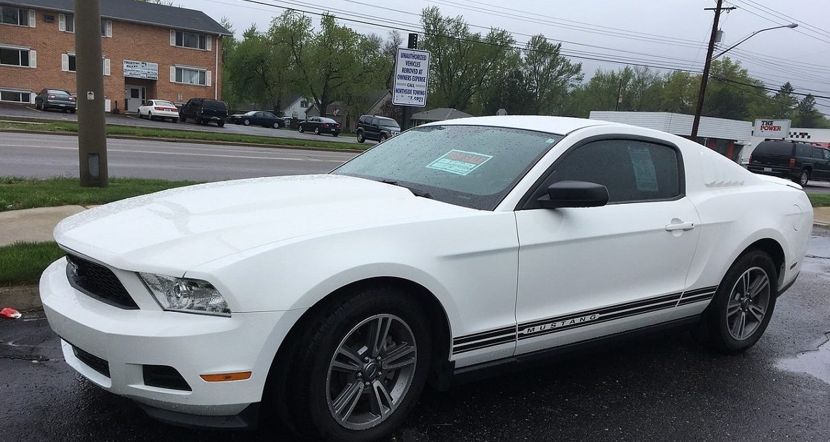 Saskatoon Man Find $17,000 For of Auto Sales Curbing