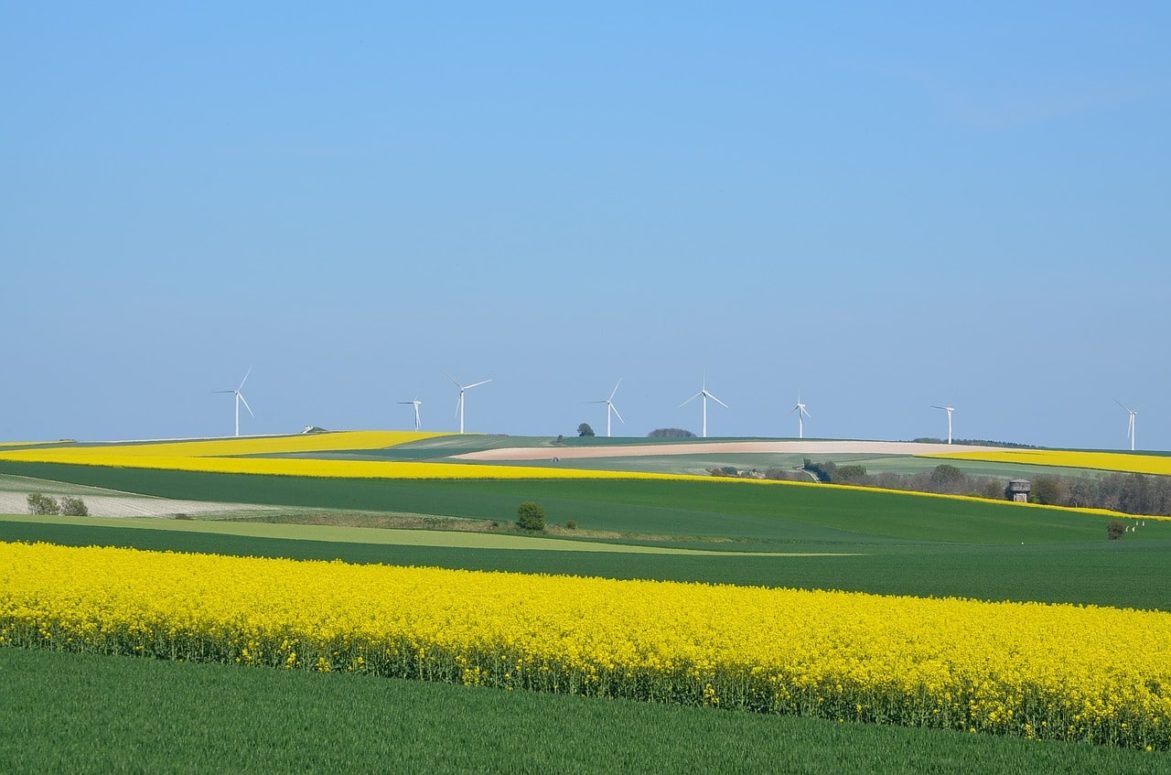 Biden’s Clean Energy Revolution to Boost Investments in Wind Energy