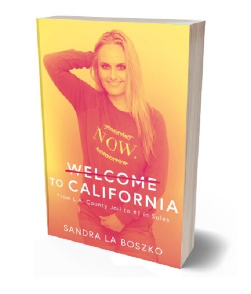 Welcome To California - Canada's Must Read Book On Mental Illness