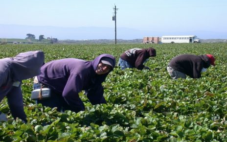 Ontario Expands COVID-19 Inspections to Farming Operations