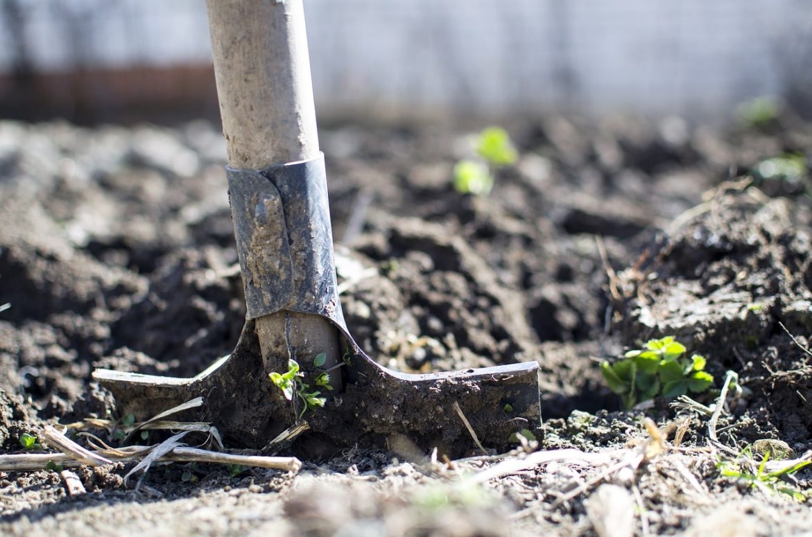 B.C NDP Government Unveils $20M Plan For Rural Jobs
