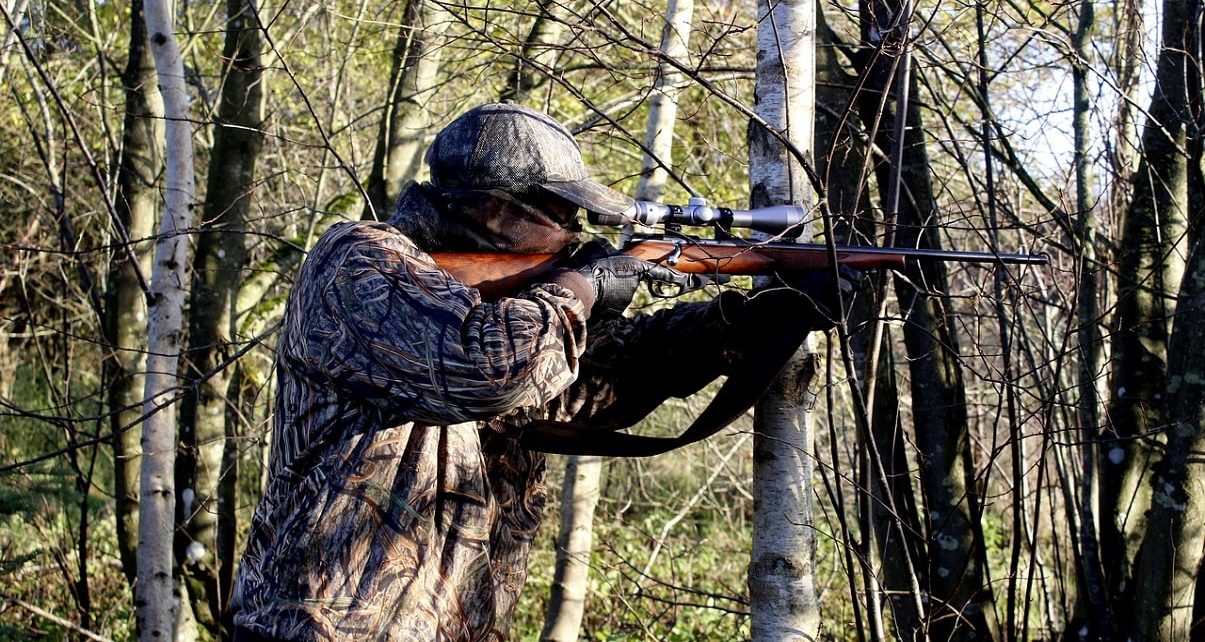 4 Ontario Men Receive 15-Year Hunting Licence Suspension