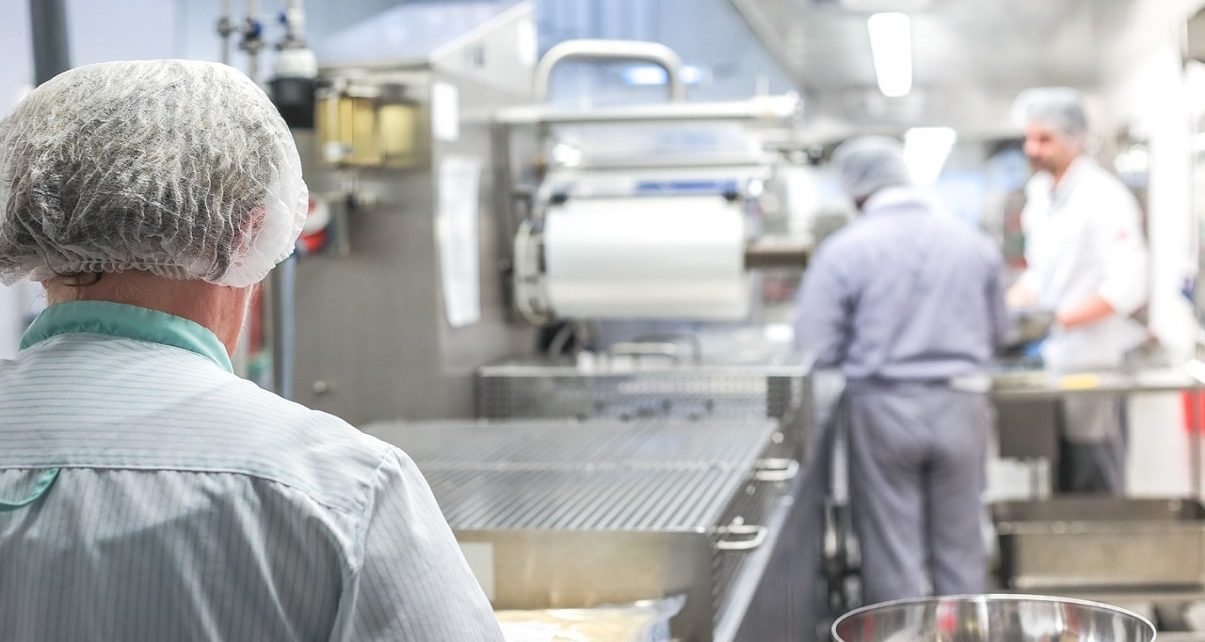 McCain Foods Investing $80M Into Grand Falls New Brunswick 789 McCain Foods Investing $5M Into Grand Falls New Brunswick