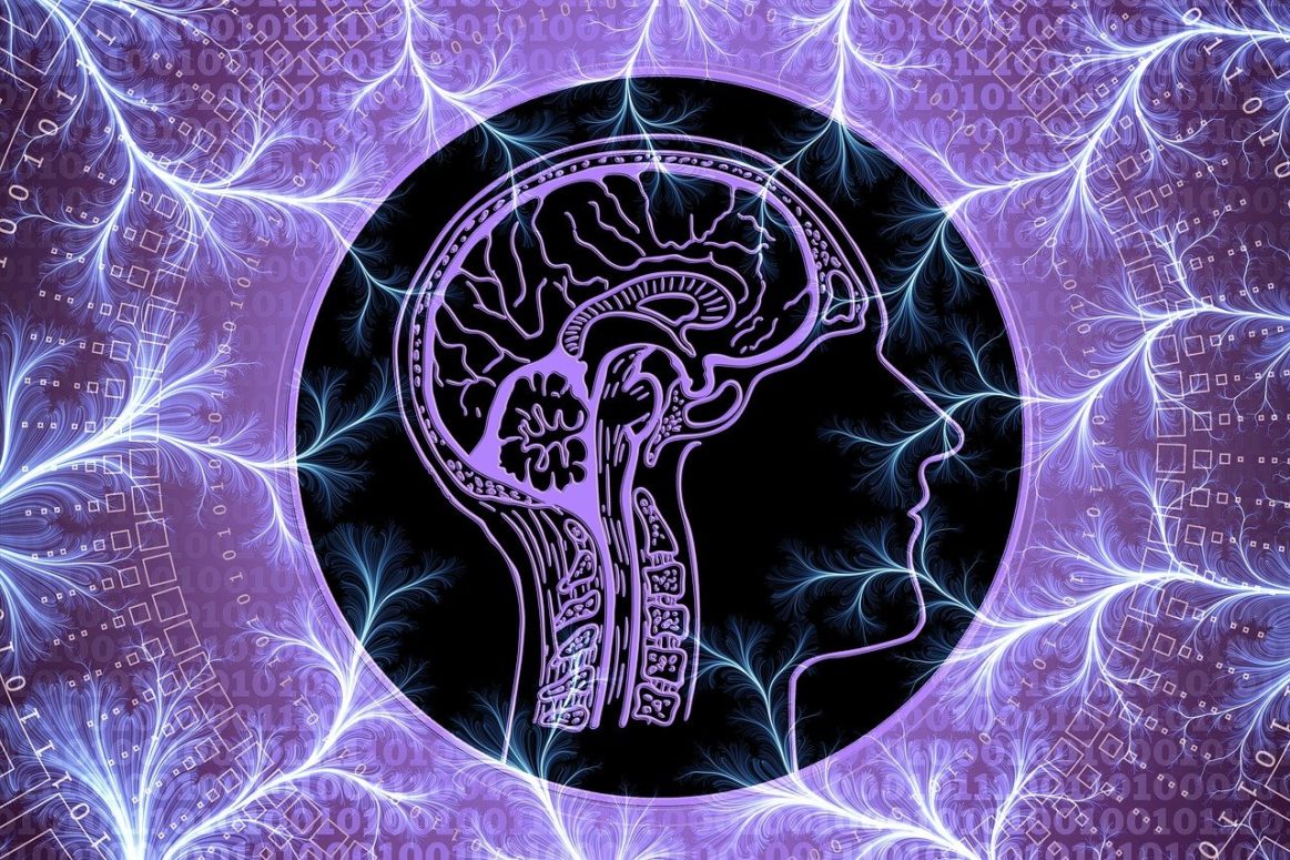 Brain Injury In Women Correlates Directly With Domestic Violence