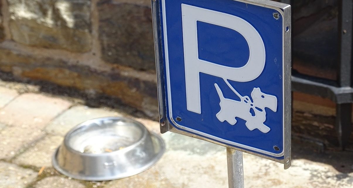 Dogs Now Allowed On Restaurant Patios, Sidewalk Cafes In This Province
