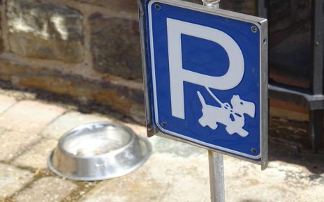 Dogs Now Allowed On Restaurant Patios, Sidewalk Cafes In This Province