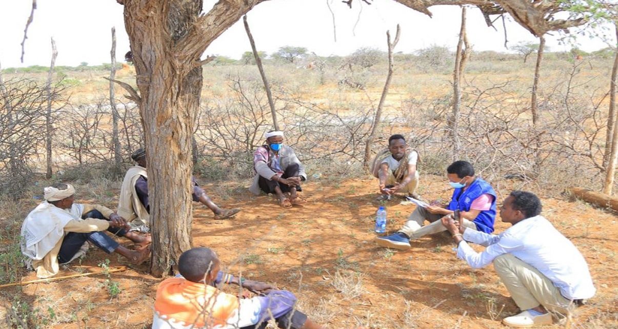 Germany’s Strengthened Partnership Supports Thousands in Ethiopia