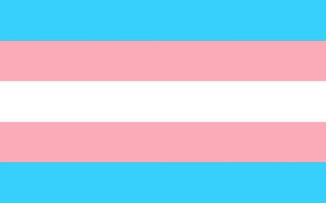 Today Marks International Day For Transgender Visibility