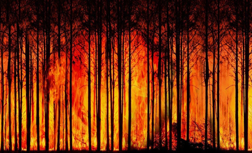 U.N. Secretary-General Describes Climate Report A “Code Red For Humanity” 343 Forest Fire