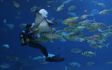 UK Invests £2M To Protect Over 500,000 km Of Ocean