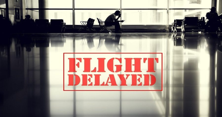 What To Do When Your Flight Gets Cancelled or Delayed: