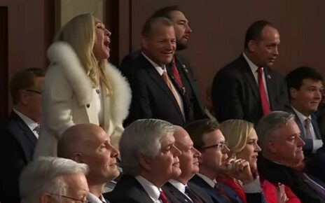 The Decay of Political Decorum: A Disgrace To Elector Representation