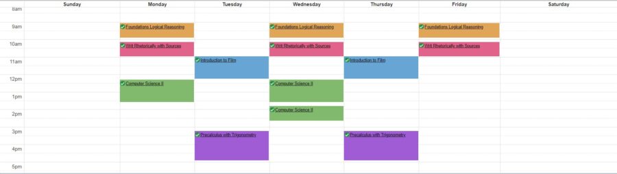 My schedule