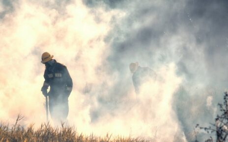 Rapid Spreading Wildfires In Nova Scotia Put Halifax under State of Emergency