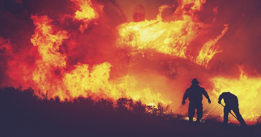 Canada's Unprecedented Wildfires: A Record-Breaking 4 Million Hectares Engulfed in Flames