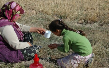 Brussels Pledging Conference: Support long-term solutions for displaced Syrians