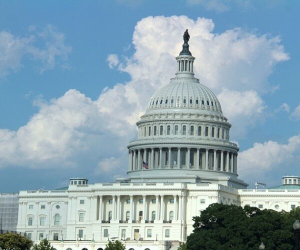 Trading Politics: 2 Traders Mirror Congressional Committee Members Stock Trades For Profits