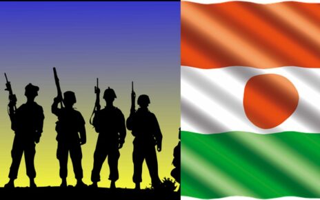 Niger Soldiers flag collage