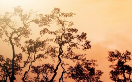 Facebook and Bill C-18: Navigating the Media Landscape Amidst Canadian Wildfires