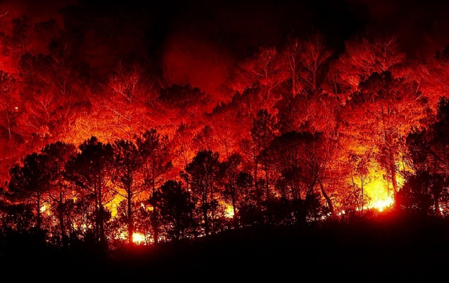 2023, The Year of Wildfires: A Global Call to Action in the Face of Climate Crisis 1 forest fires 2930096 1280