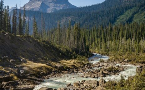 320 Acres Returned To Canada's ʔAkisq̓nuk First Nation Peoples In Historic $28M Settlement