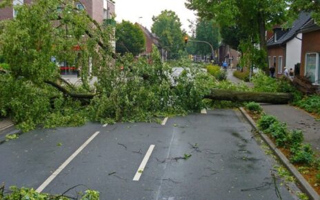 Eastern USA's Battle with Severe Thunderstorm Aftermath