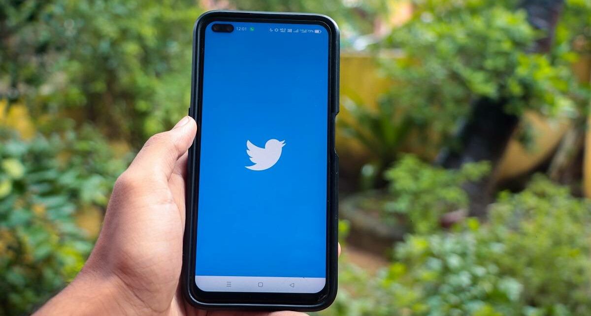 Twiends Unveiled: The Ultimate Twitter Follower Growth Platform 116 pexels sanket mishra 17894356