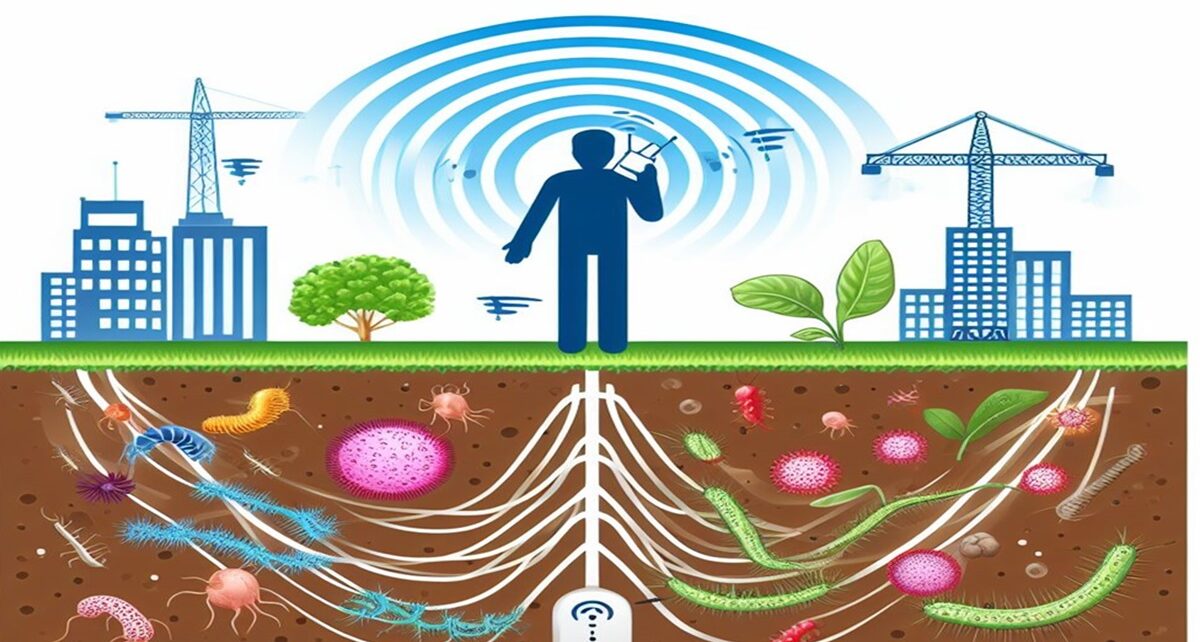 radiofrequency affects soil microbes