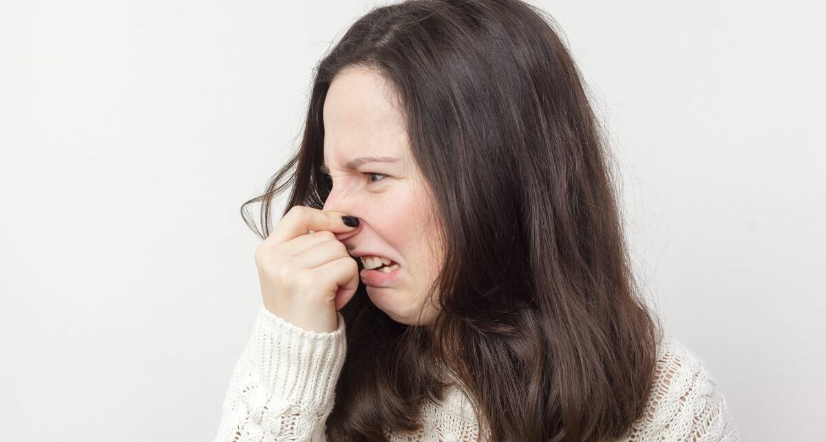 Is Your 'Job Snobbery' Keeping You Unemployed? 1635 Snob