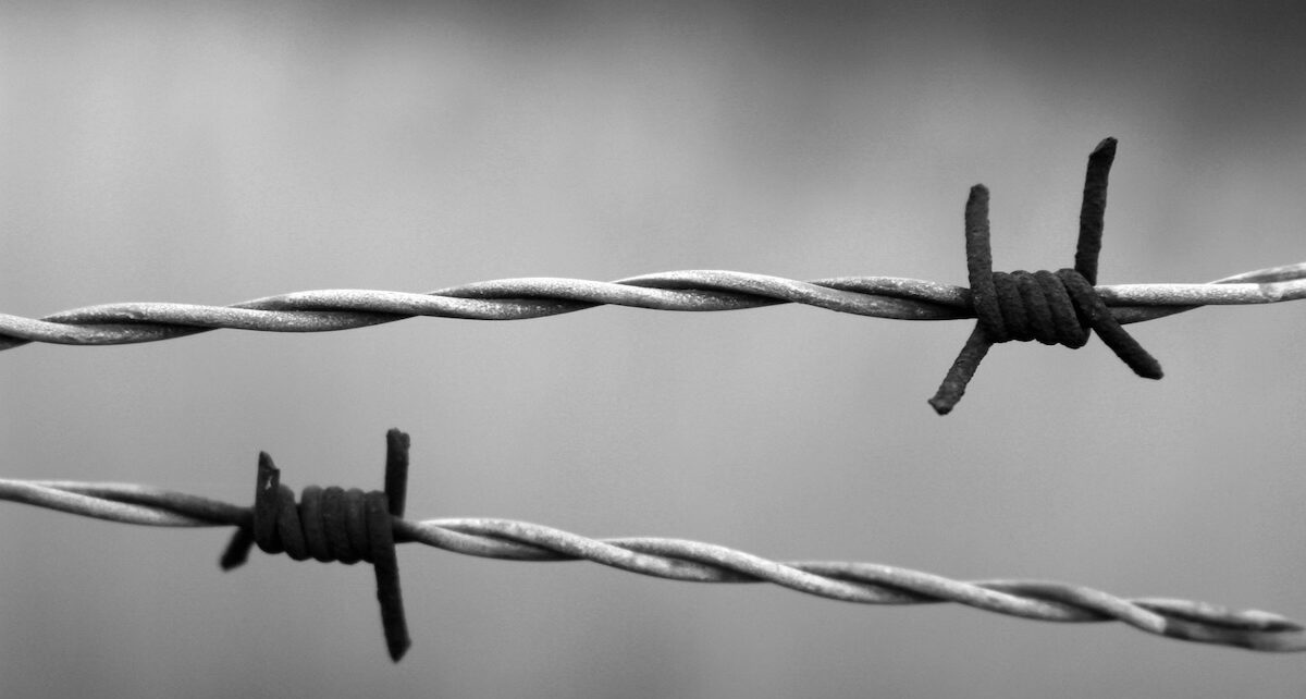 "The Zone of Interest": Normalized Evil? 1636 barbed-wire-1269430_1280