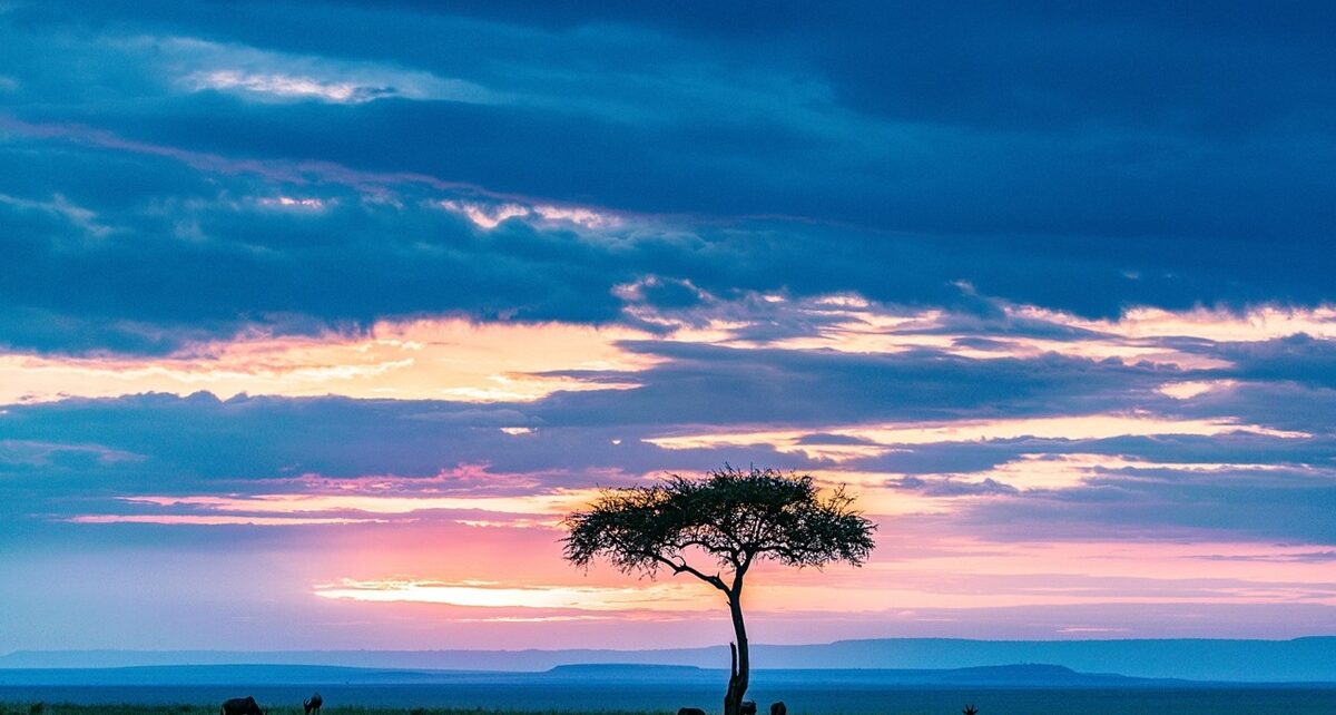 The Winds of Change: A United Africa Imposes Sanctions on the West 1623 maasai mara 7446939 1280