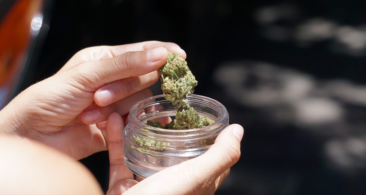 Up in Smoke: ACC Questions Biden's Cannabis Policy Stance Post State of the Union 1552 hand 5460474 1280