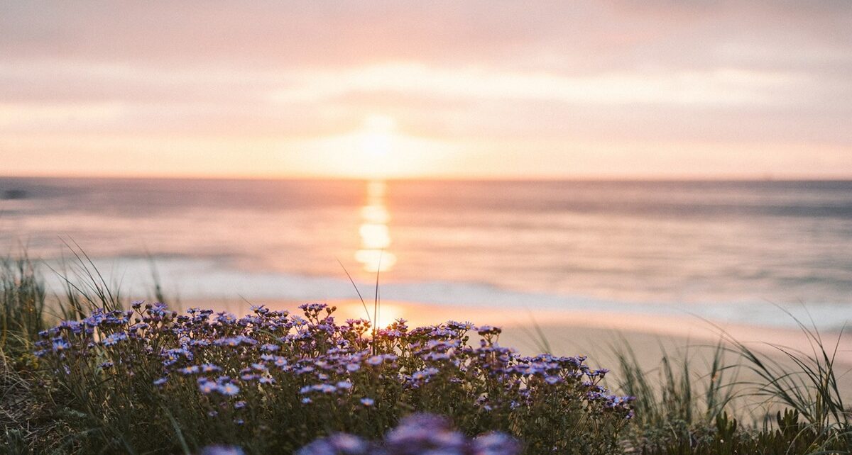 The Great Dating Profile Mystery: Why Flowers and Beaches Won't Get You a Date 1478 The Great Dating Profile Mystery: Why Flowers and Beaches Won't Get You a Date