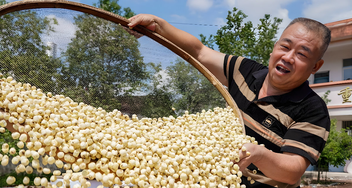 Space lotus leads county in China's Jiangxi to prosperity 1563 Space lotus leads county in China's Jiangxi to prosperity